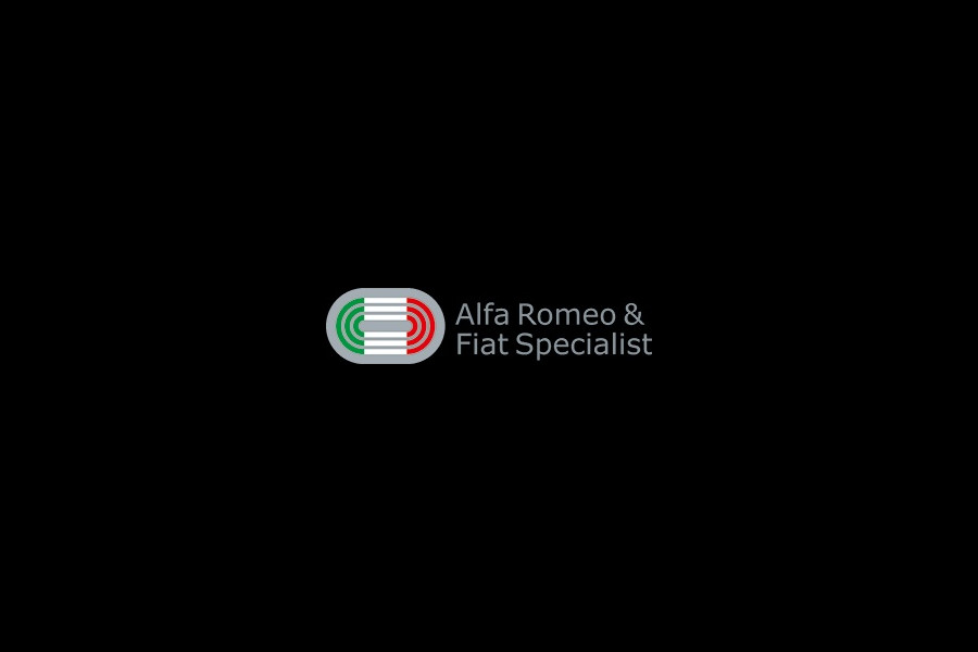 Alfa Romeo Stelvio 2.0 T AWD F.E. 280 PK Q4 Rijklaar incl. 12 mnd. garantie