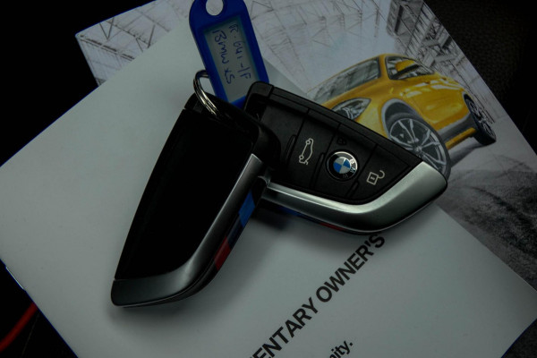 BMW X2 SDrive20i High Executive | M MESH EDITION | SPORTSTOELEN | AMBIANT VERLICHTING