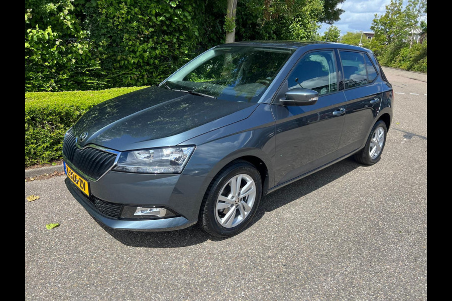 Škoda Fabia 1.0 TSI Online Edition / Apple Carplay / parkeer sensoren