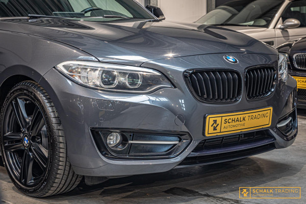 BMW 2 Serie Coupé 228i|Harman en Kardon|NW APK|Garantie|1e e