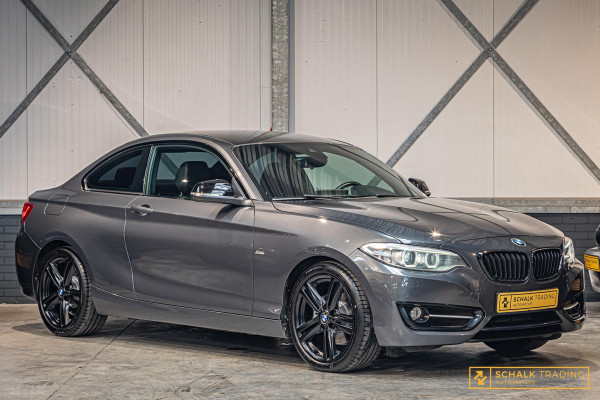 BMW 2 Serie Coupé 228i|Harman en Kardon|NW APK|Garantie|1e e