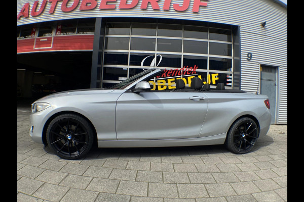 BMW 2 Serie Cabrio 220i Executive - Navigatie I Airco I PDC I 1/2 Leer I "19" Sport velgen & Sport pakket I Dealer onderhouden