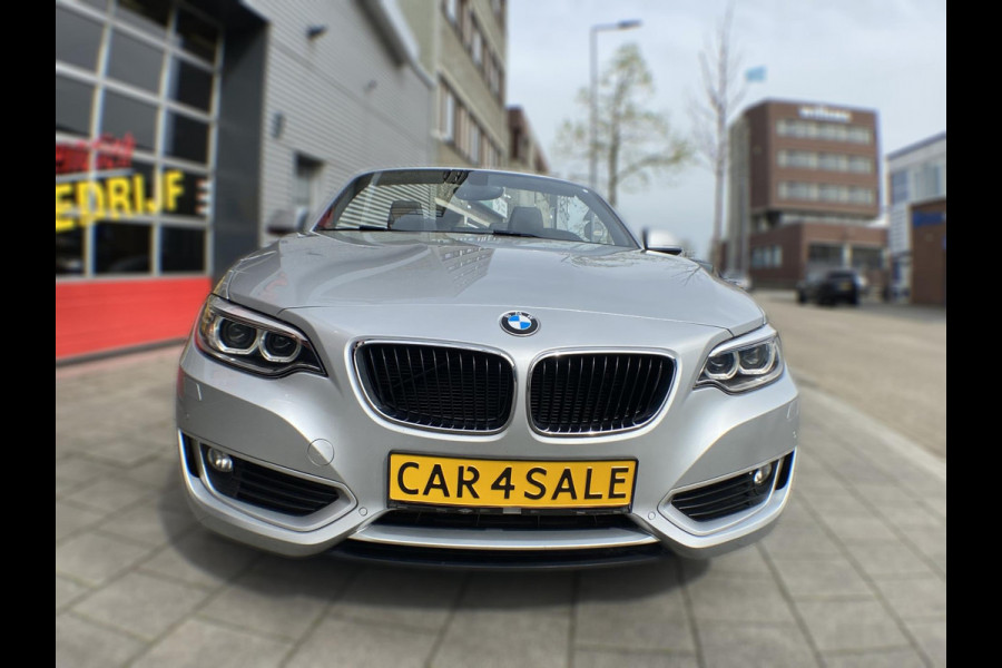 BMW 2 Serie Cabrio 220i Executive - Navigatie I Airco I PDC I 1/2 Leer I "19" Sport velgen & Sport pakket I Dealer onderhouden