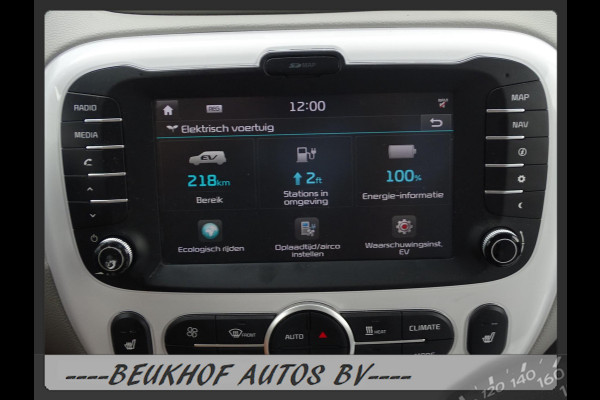 Kia Soul EV ExecutiveLine 218km Range Navi Cruise Soh 94% !!