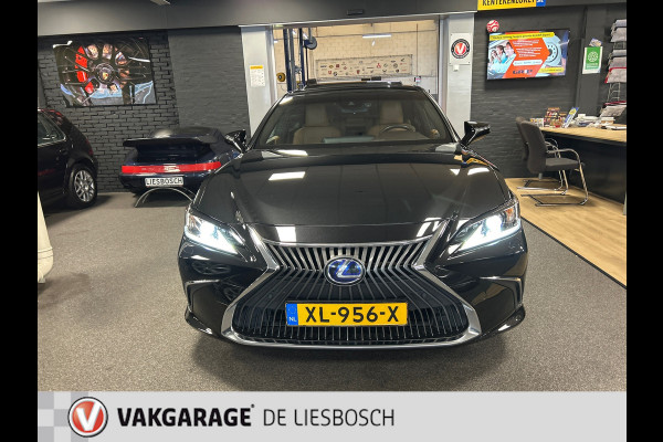 Lexus ES 300h Luxury Line/leer/navi/camera/stoel koeling verw/boeken