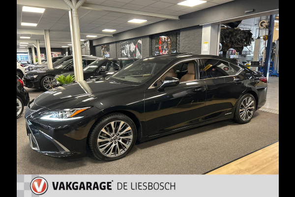 Lexus ES 300h Luxury Line/leer/navi/camera/stoel koeling verw/boeken