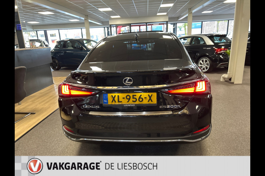 Lexus ES 300h Luxury Line/leer/navi/camera/stoel koeling verw/boeken