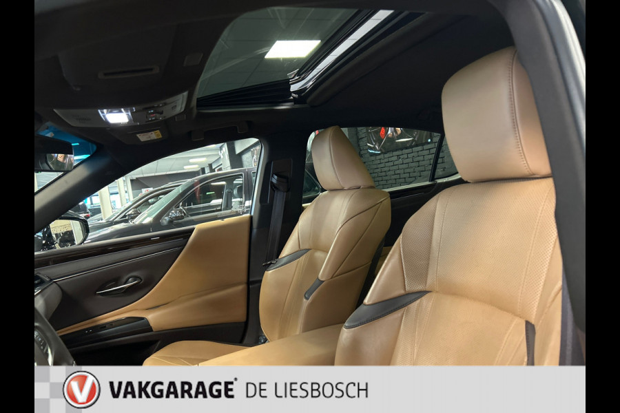 Lexus ES 300h Luxury Line/leer/navi/camera/stoel koeling verw/boeken