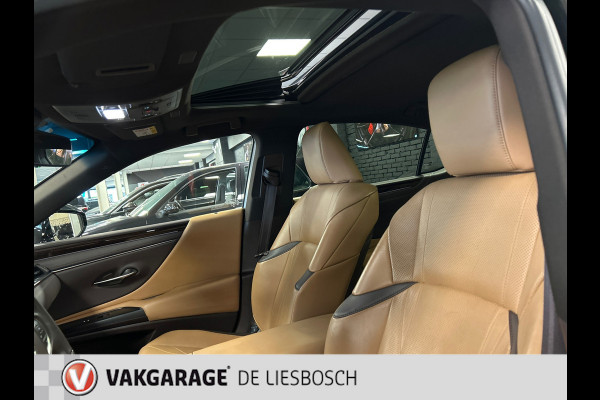 Lexus ES 300h Luxury Line/leer/navi/camera/stoel koeling verw/boeken