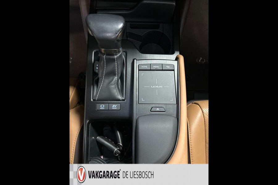 Lexus ES 300h Luxury Line/leer/navi/camera/stoel koeling verw/boeken