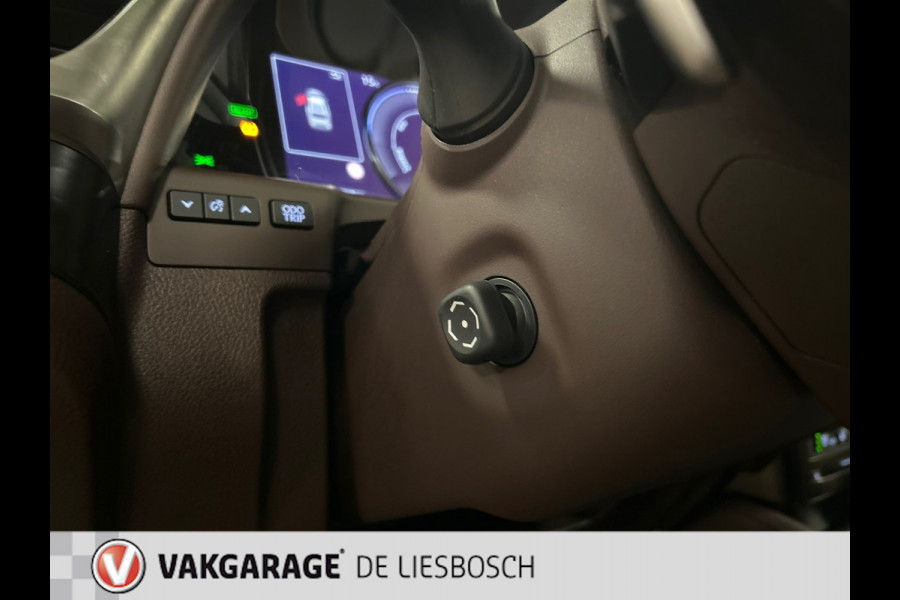 Lexus ES 300h Luxury Line/leer/navi/camera/stoel koeling verw/boeken