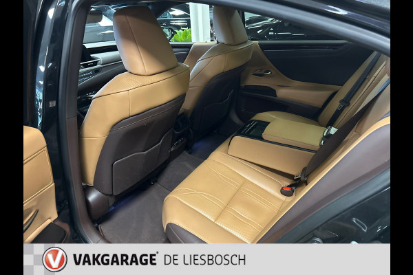 Lexus ES 300h Luxury Line/leer/navi/camera/stoel koeling verw/boeken