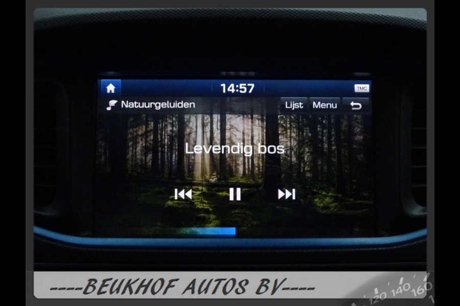 Hyundai IONIQ 1.6 GDi Premium Carplay Navi Leer Elek Dak Cam