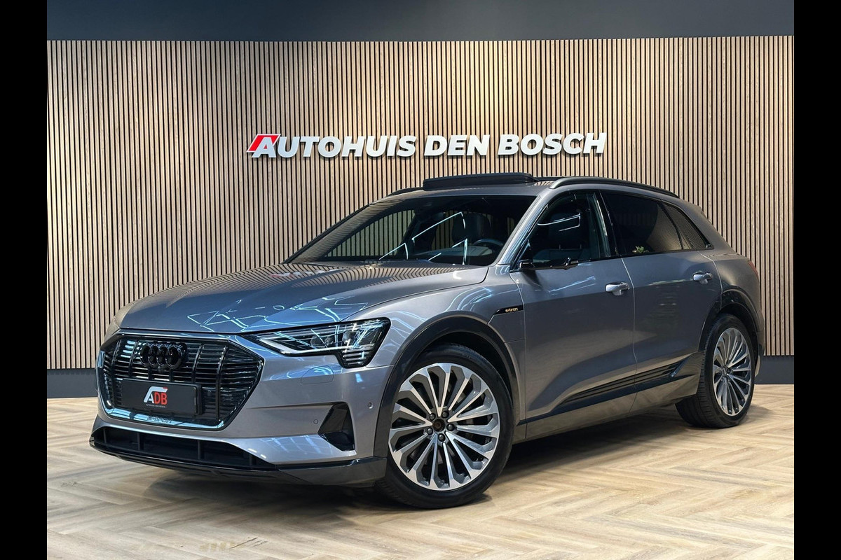 Audi e-tron E-tron 55 Quattro Pro Line Plus 95 kWh B&O Lucht