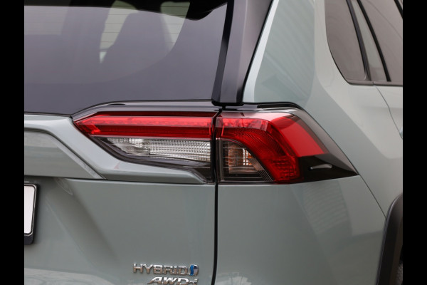 Toyota RAV4 2.5 Hybrid AWD Adventure | 360 Camera | JBL Audio | Leder