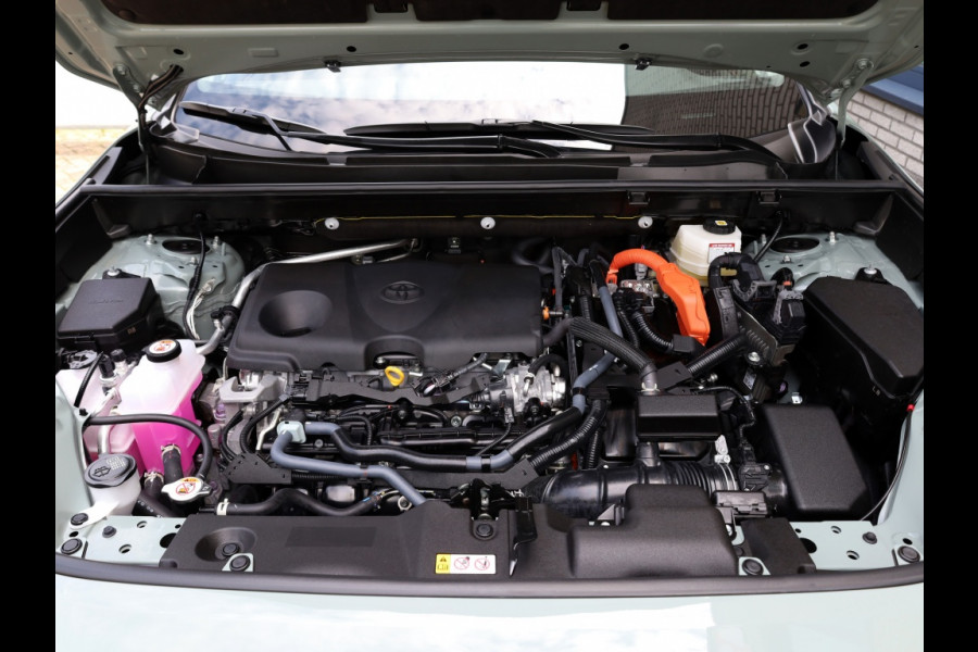 Toyota RAV4 2.5 Hybrid AWD Adventure | 360 Camera | JBL Audio | Leder