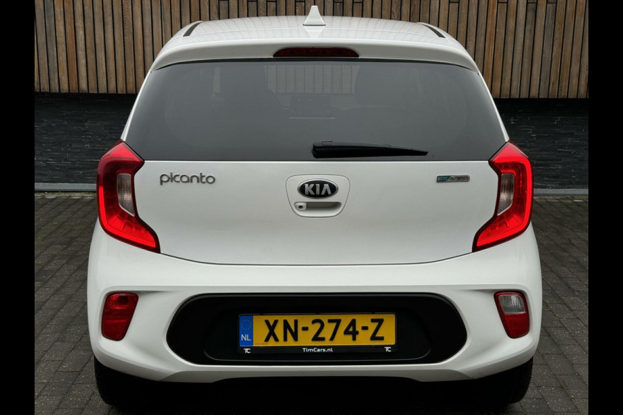 Kia Picanto 1.0 CVVT Design Edition | Leer | Cruise control | Navigatiesysteem | LED dagrijverlichting | Elektrische ramen | Lichtmetalen ve