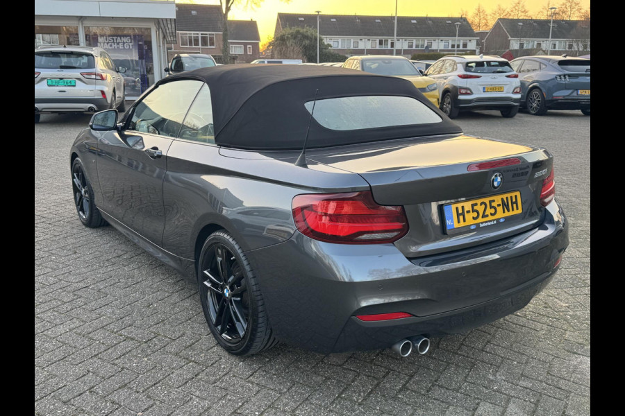 BMW 2 Serie Cabrio 220i High Executive 183pk Automaat | Stoelverwarming | Goede staat ! | Apple Carplay / Android auto | Dealer onderhouden