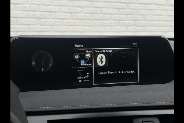 Lexus UX 250h Preference Line | Leder | Camera | Carplay | 18 inch | Dodehoek