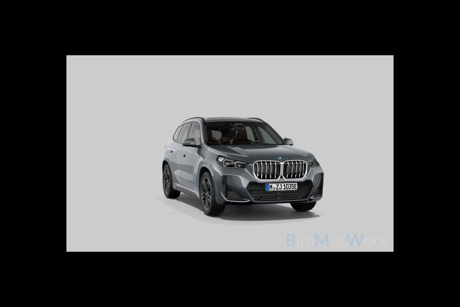 BMW X1 xDrive30e M-Sport Plus Pano ACC HUD 360-cam 19inch