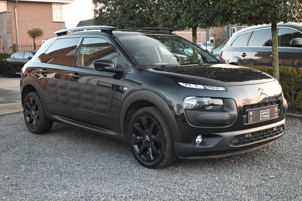 Citroën C4 Cactus 1.2 PureTech One Tone 110 PK Camera Half/Leer Stoelverwarming 17''