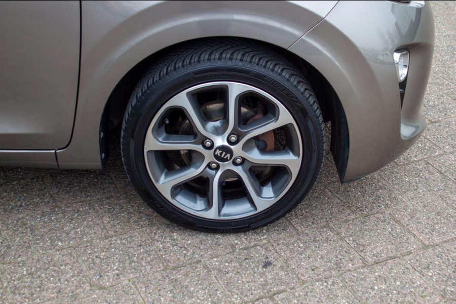 Kia Picanto 1.0 CVVT Design Edition|Prijs rijklaar incl 12 mnd garantie| LMV Airco Carplay Camera Navi Bluetooth