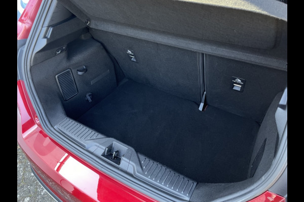 Ford Fiesta Active X EcoBoost WinterPack/Camera/Adaptive/B&O/CarPlay etc.