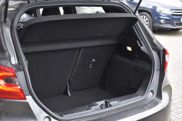 Ford Fiesta 1.0 EcoBoost Vignale Lane Aut Stoelvw Leder