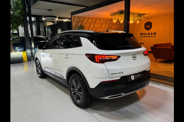 Opel Grandland X 1.2 Turbo GS Line Garantie CarPlay Camera PDC Lane LED Cruise Clima Navi Rijklaar