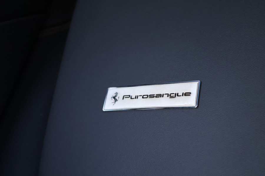 Ferrari Purosangue 6.5 V12 | NEW | NO REGISTRATION | VAT REF. | 135K OPTIONS | CARBON WHEELHOUSE, R+F DIFFUSERS, UNDERDOOR, MIRRORS, DOORPANELS, KI MASSAGE REAR SEATS | FULL LEATHER PACK | DIGITAL REAR VIEW CAMERA | PRIVACY GLASS | REAR SEATS COOLED/HEATED | BURMESTER HIGH END AUDIO | ACTIVE MATRIX LED HEADLIGHTS