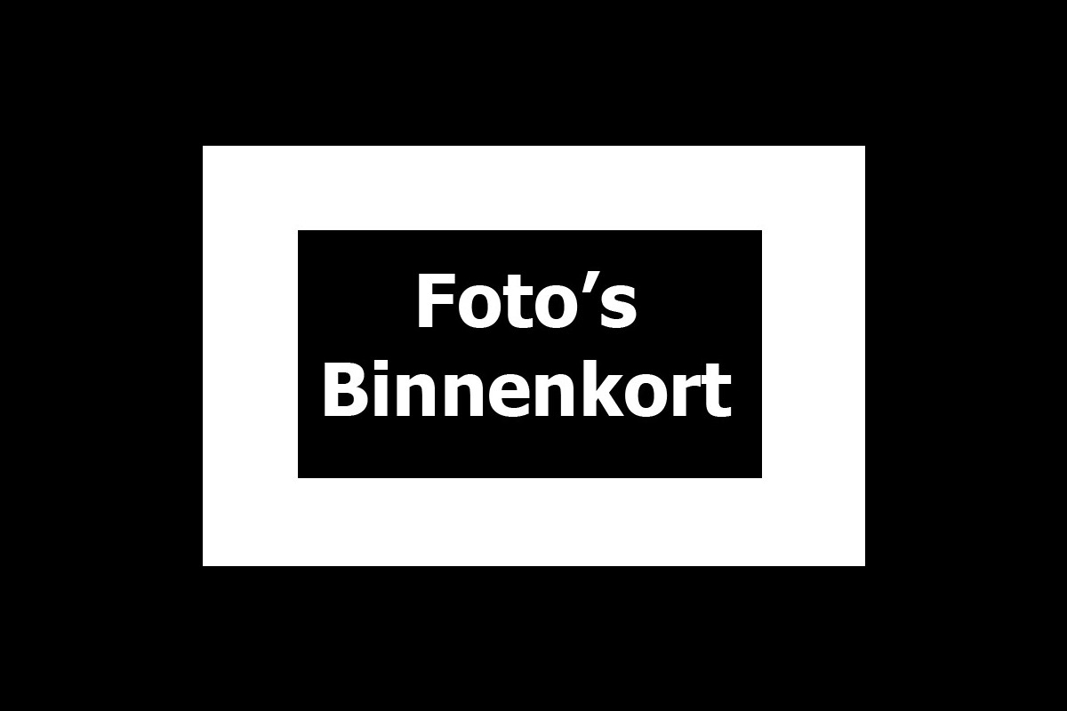 Opel Zafira 1.4 T 7-pers. Navi Leer Climate PDC LM velgen