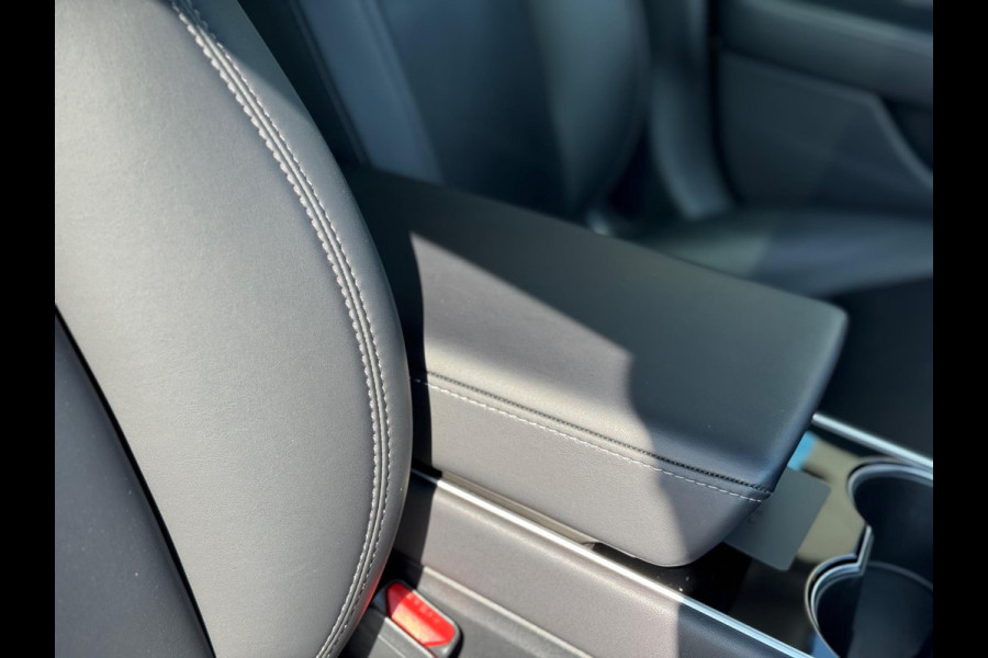 Tesla Model 3 Standard RWD Plus 60 kWh 2019 NAVI NAP 1e Eig!