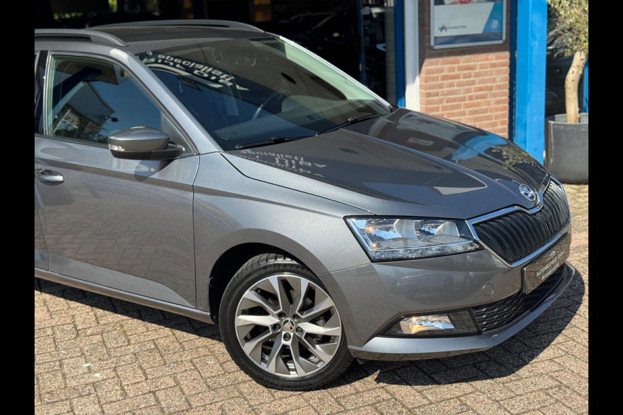Škoda Fabia Combi 1.0 TSI Business Edition 2023 NAVI BTW NAP
