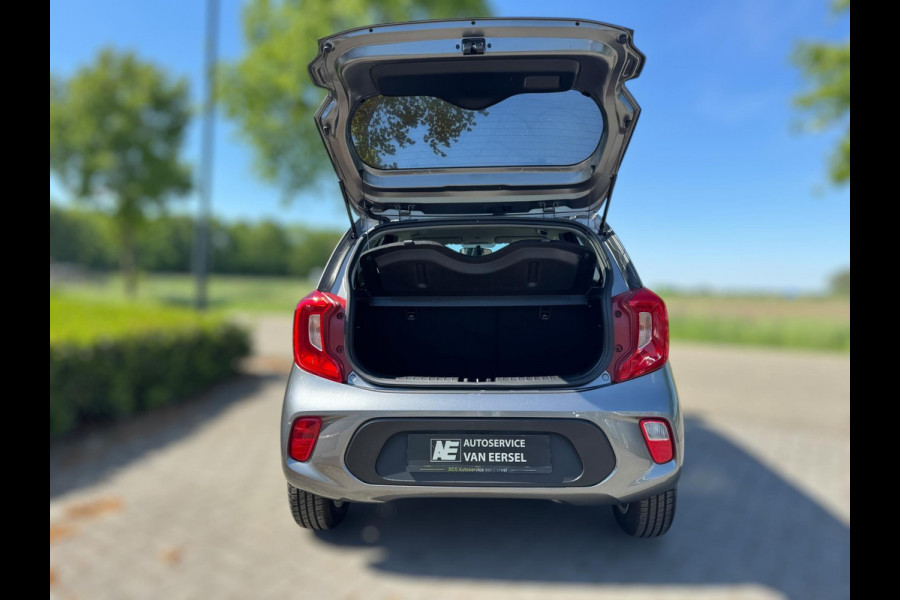 Kia Picanto 1.0 DPi DynamicLine STUUR&STOELVERW. / CAMERA / CARPLAY / WEINIG KM'S