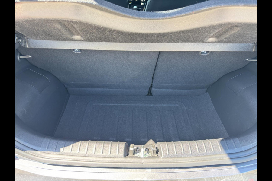 Kia Picanto 1.0 DPi DynamicLine STUUR&STOELVERW. / CAMERA / CARPLAY / WEINIG KM'S