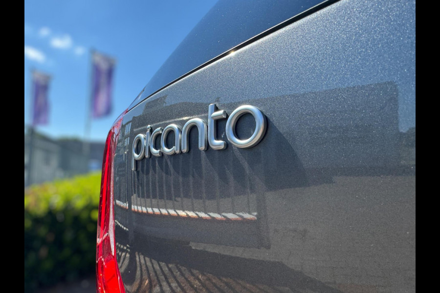 Kia Picanto 1.0 DPi DynamicLine STUUR&STOELVERW. / CAMERA / CARPLAY / WEINIG KM'S