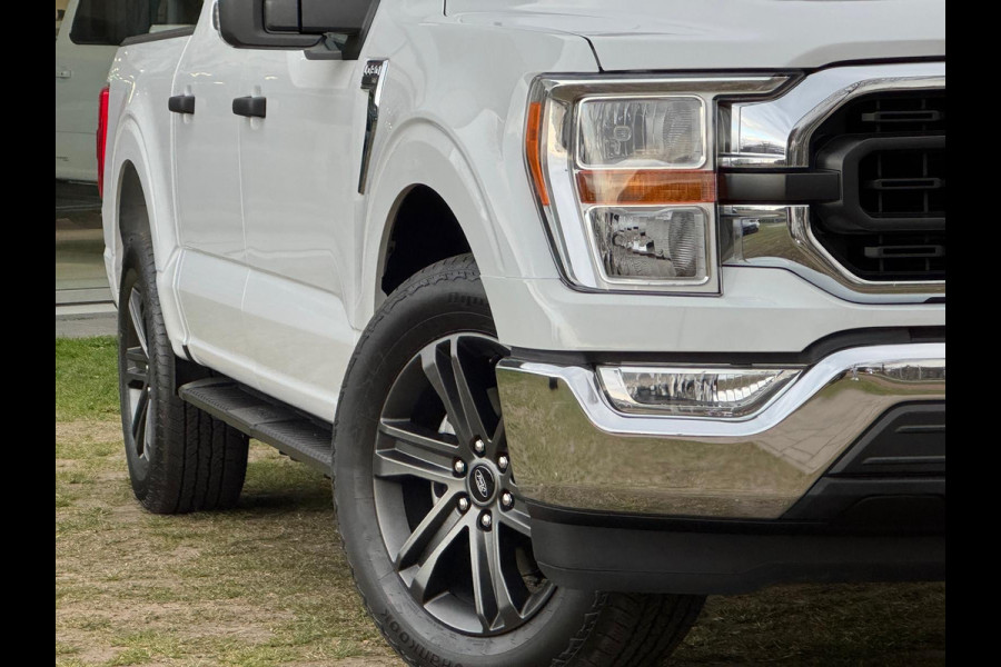Ford USA F-150 5.0L V8 BPM-VRIJ