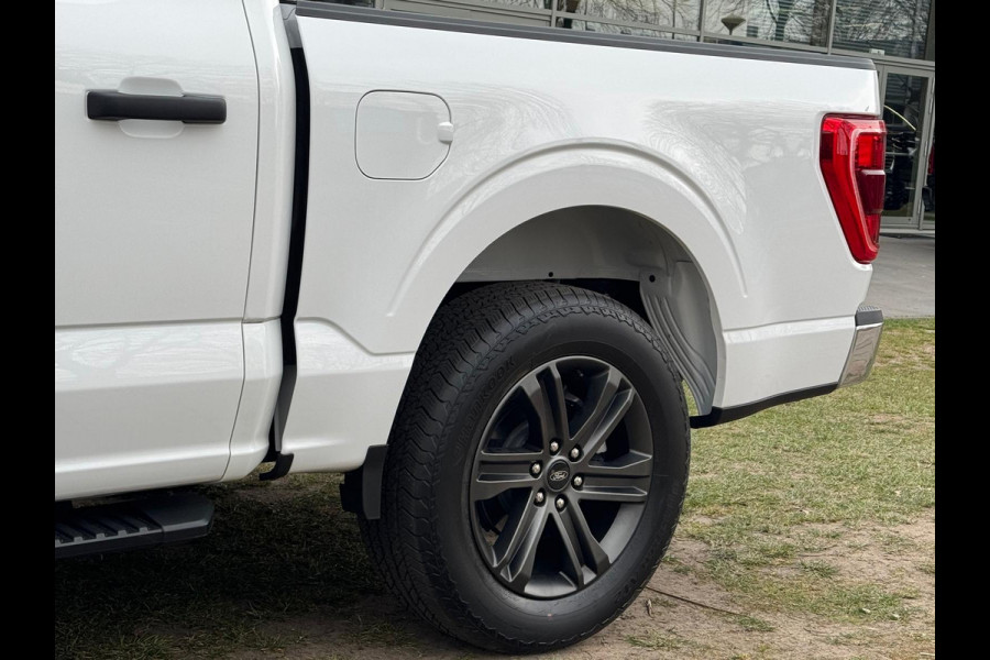 Ford USA F-150 5.0L V8 BPM-VRIJ