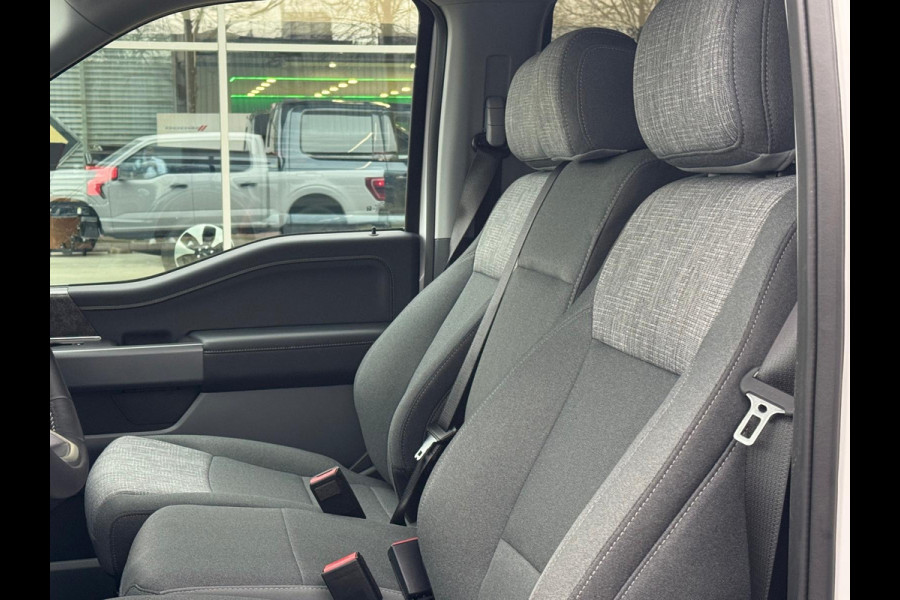 Ford USA F-150 5.0L V8 BPM-VRIJ