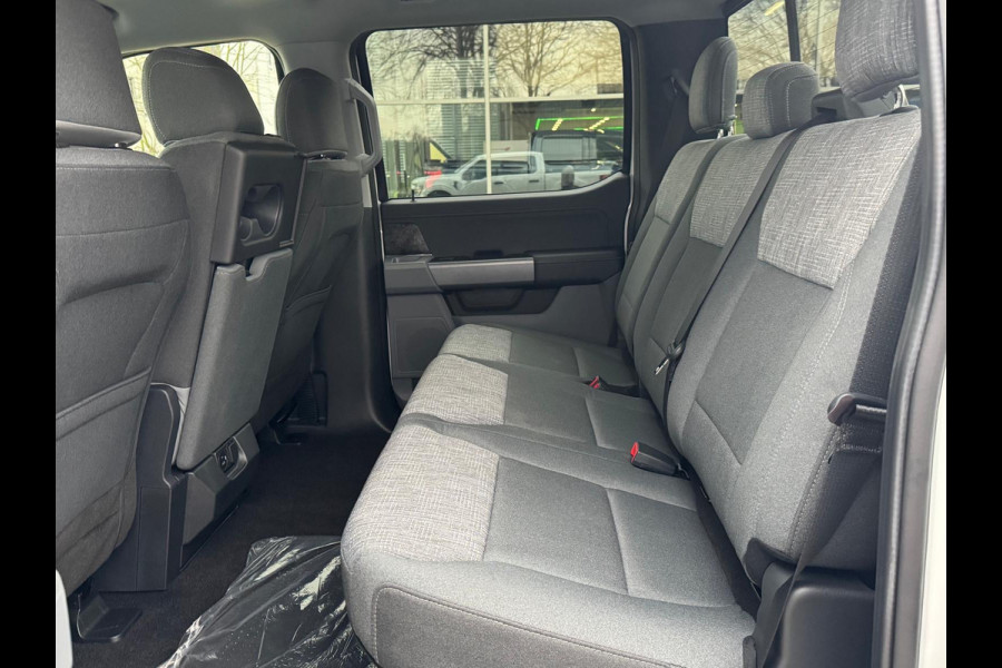 Ford USA F-150 5.0L V8 BPM-VRIJ