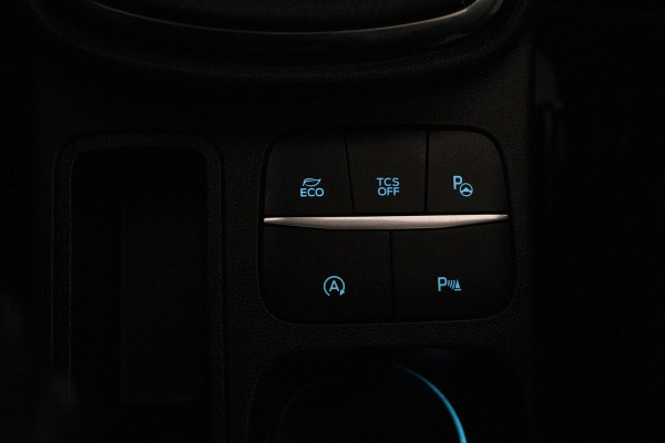 Ford Fiesta 1.0 EcoBoost Vignale (PANORAMADAK, PARKEERSENSOREN, STOELVERWARMING, LANE-ASSIST, CRUISE ADAPTIEF, NAVIGATIE, CAMERA)