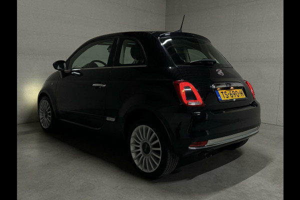 Fiat 500 0.9 TwinAir Turbo Lounge Pano Carplay Cruise NAP