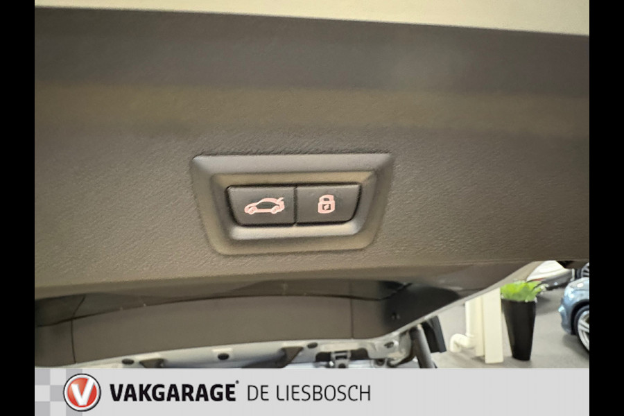 MINI Countryman 2.0 Cooper S E ALL4 Untamed Edition / leder /Panorama-dak /head-up