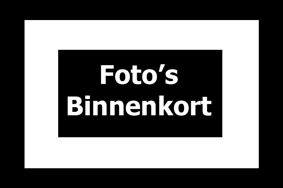 MINI Clubman 1.5 Cooper Aut. Navi Leer Camera DCC PDC Climate LM velgen BTW auto