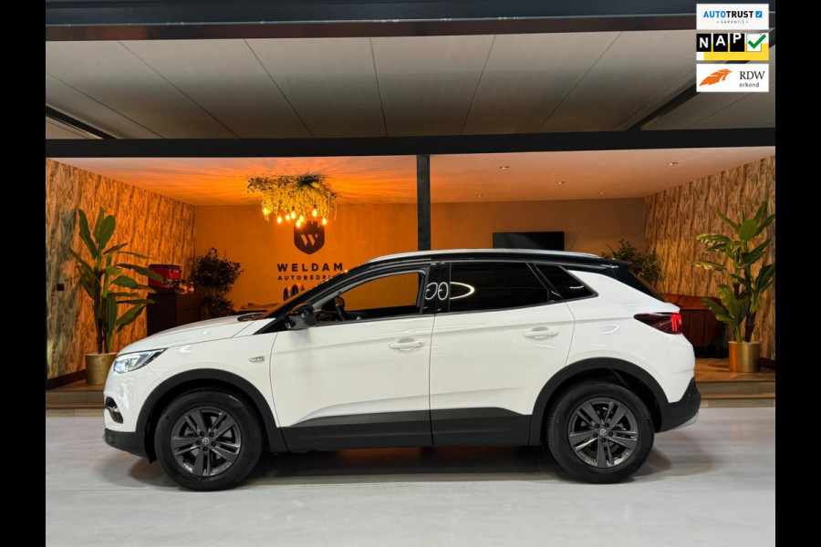 Opel Grandland X 1.2 Turbo GS Line Garantie CarPlay Camera PDC Lane LED Cruise Clima Navi Rijklaar