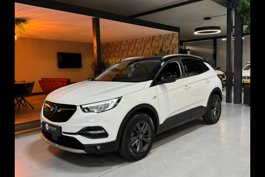 Opel Grandland X 1.2 Turbo GS Line Garantie CarPlay Camera PDC Lane LED Cruise Clima Navi Rijklaar