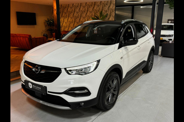 Opel Grandland X 1.2 Turbo GS Line Garantie CarPlay Camera PDC Lane LED Cruise Clima Navi Rijklaar