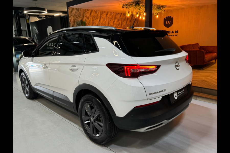 Opel Grandland X 1.2 Turbo GS Line Garantie CarPlay Camera PDC Lane LED Cruise Clima Navi Rijklaar