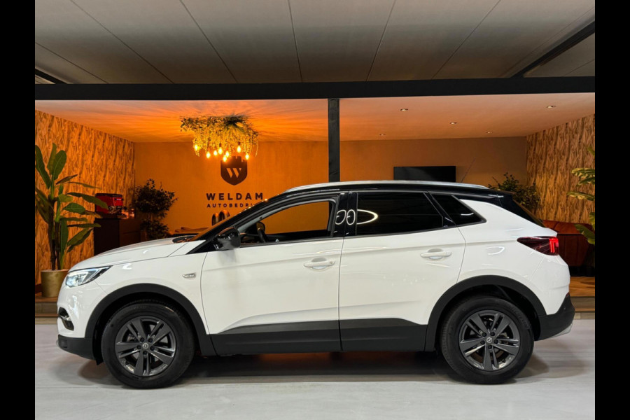 Opel Grandland X 1.2 Turbo GS Line Garantie CarPlay Camera PDC Lane LED Cruise Clima Navi Rijklaar