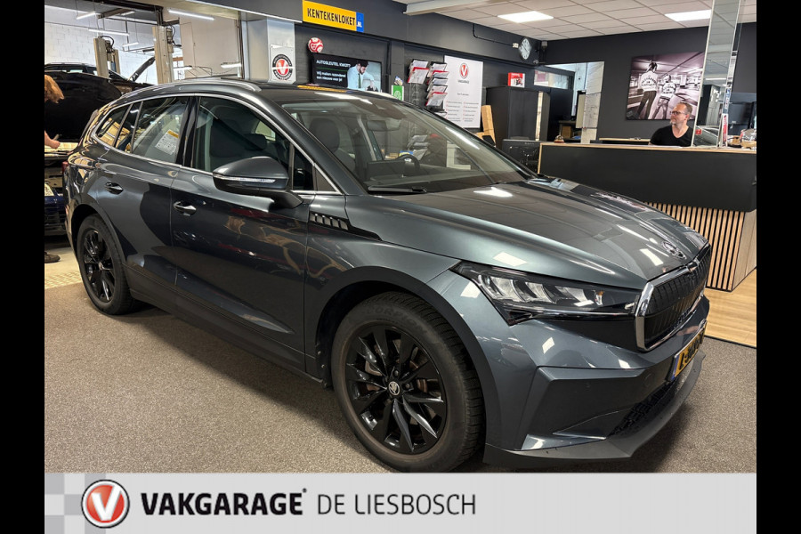 Škoda ENYAQ iV 80 / Navigatie / pdc v+a / camera / Panorama-dak